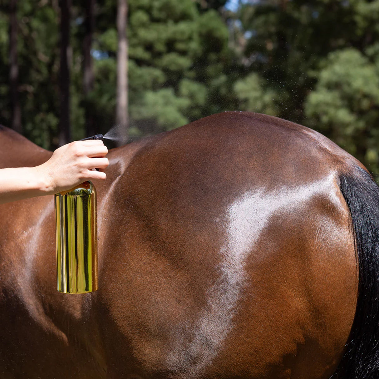 Hairy Pony Pre-Mixed Essential Oil Coat Conditioner 500 mL