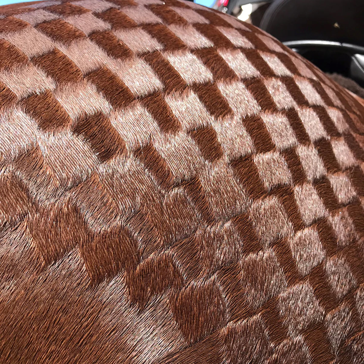 Spray pour chevaux Hairy Pony Quarter Mark 300 ml