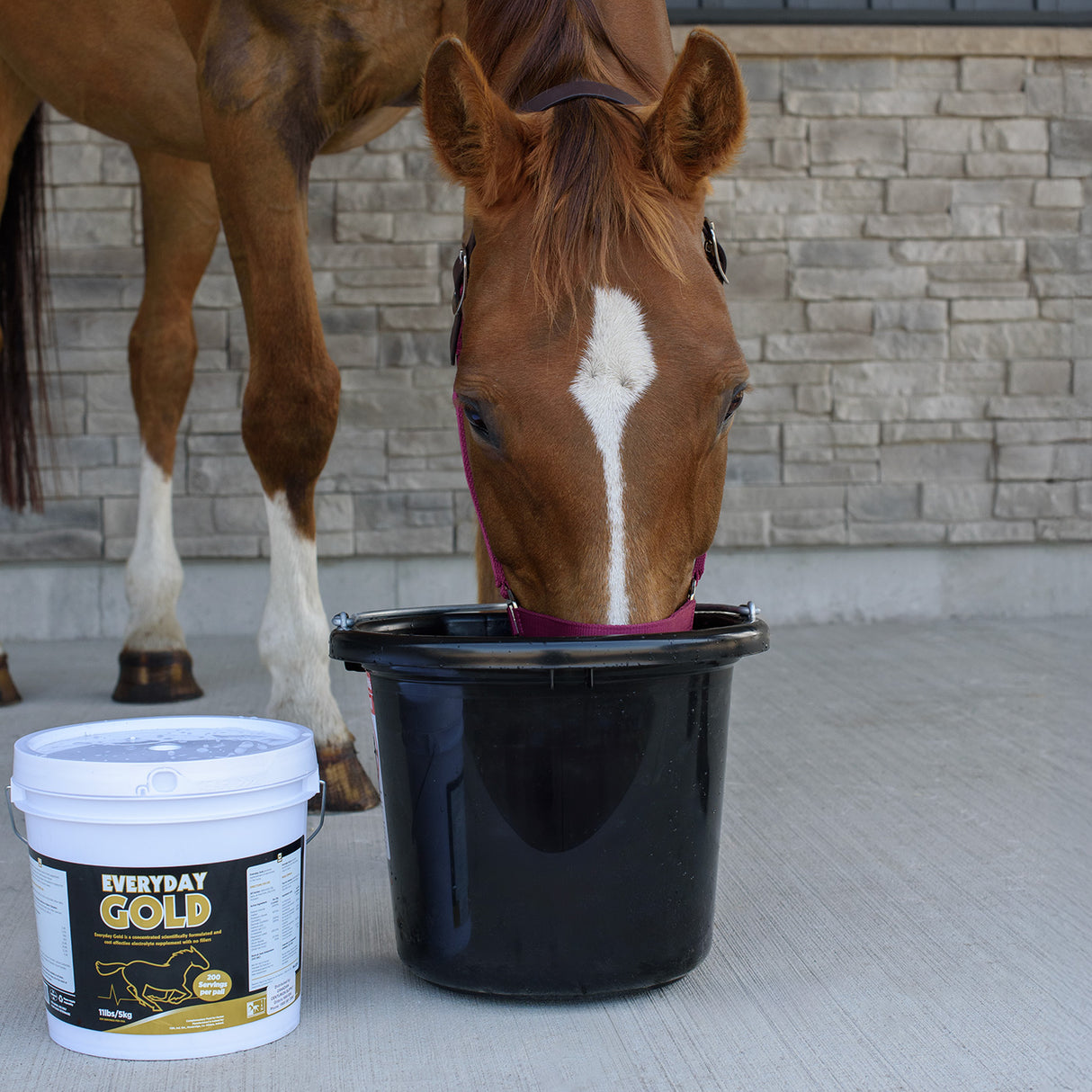 Électrolyte quotidien TRM Everyday Gold 5 kg
