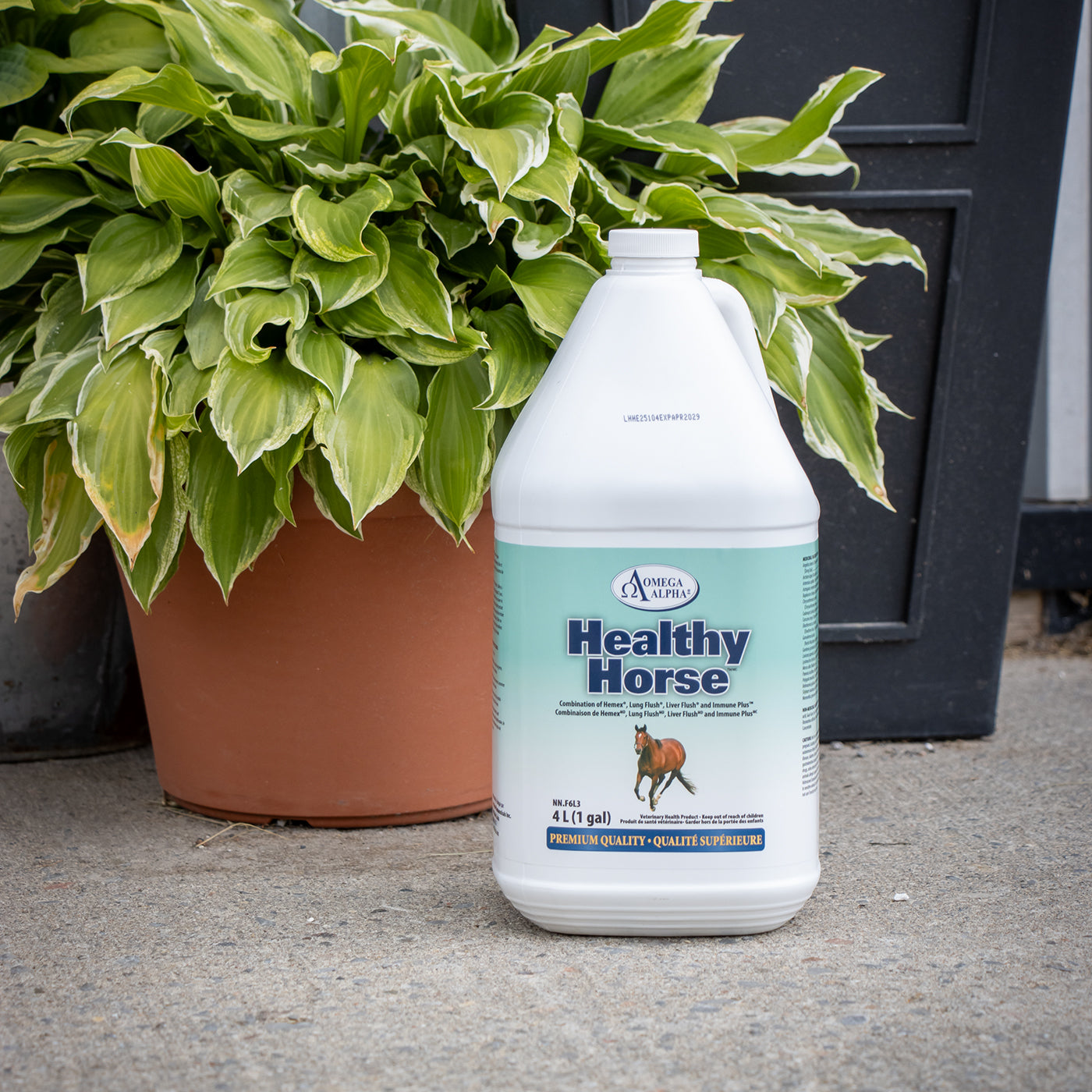 Omega Alpha Healthy Horse 4 L