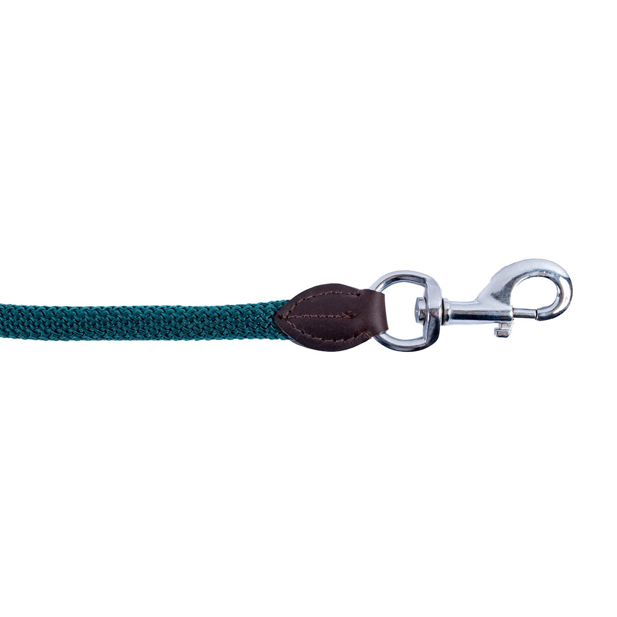 Laisse Shedrow en nylon et cuir