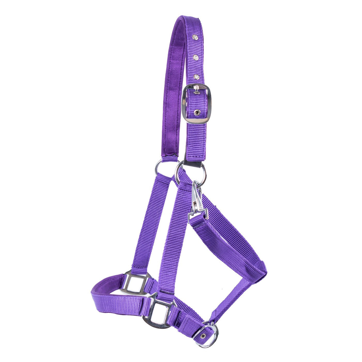 Licol détachable rembourré en néoprène Supra