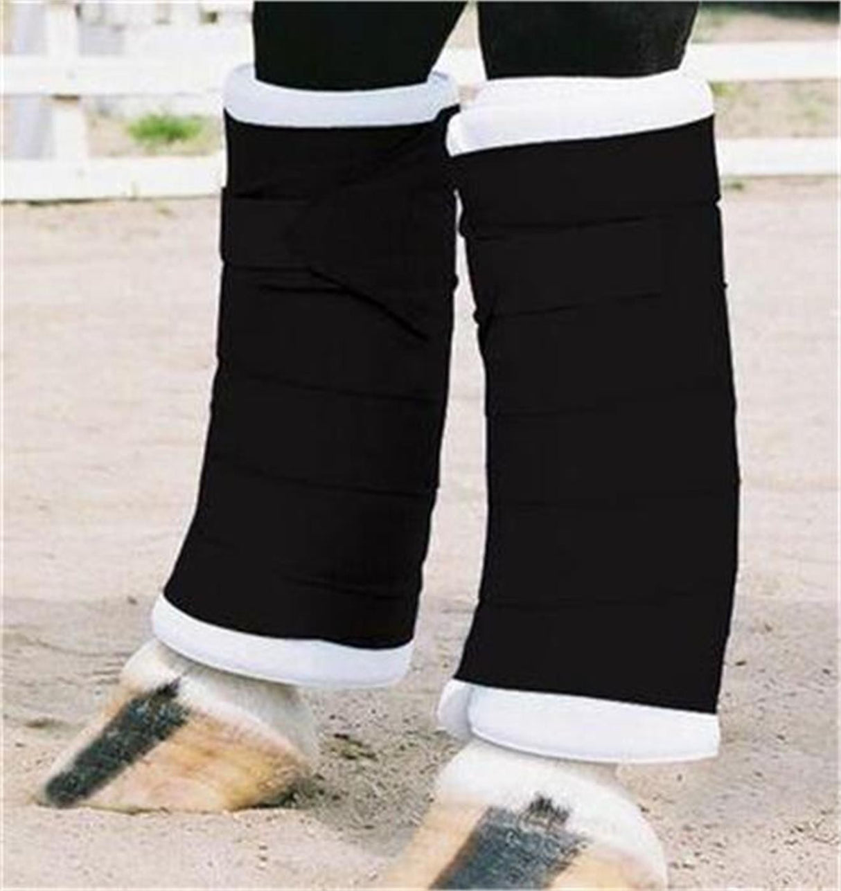 Bandages debout Shedrow