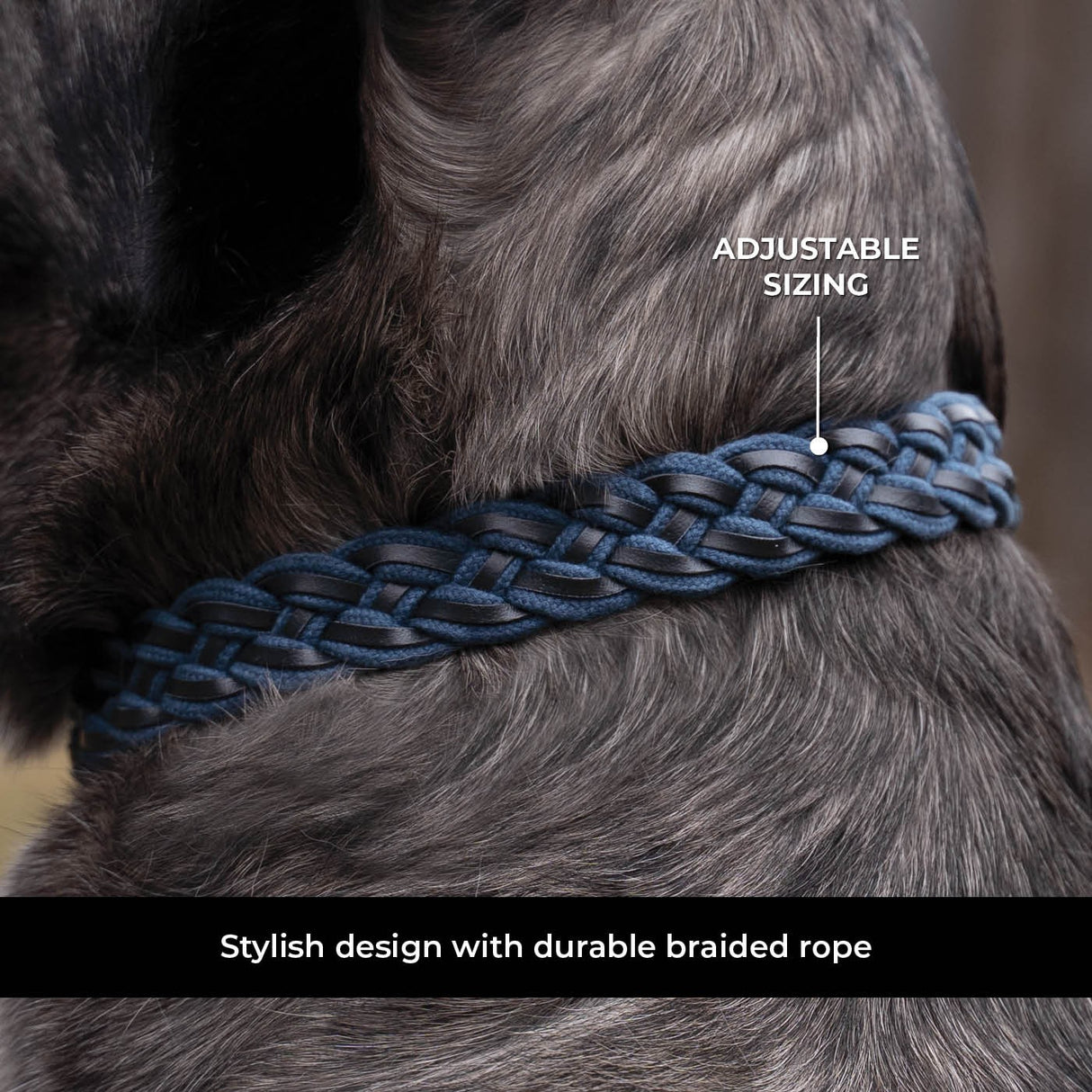 Shedrow K9 Rideau en corde tressée et collier en cuir