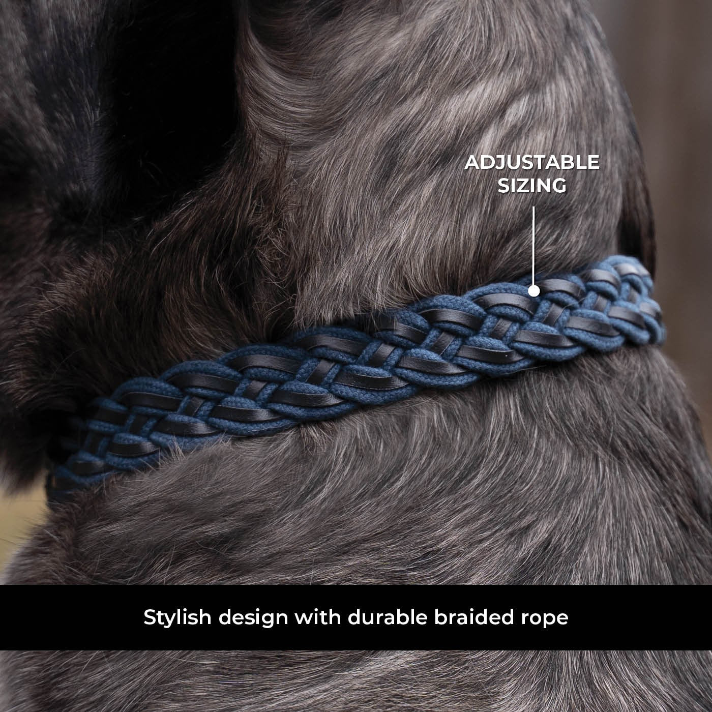 Shedrow K9 Rideau en corde tressée et collier en cuir