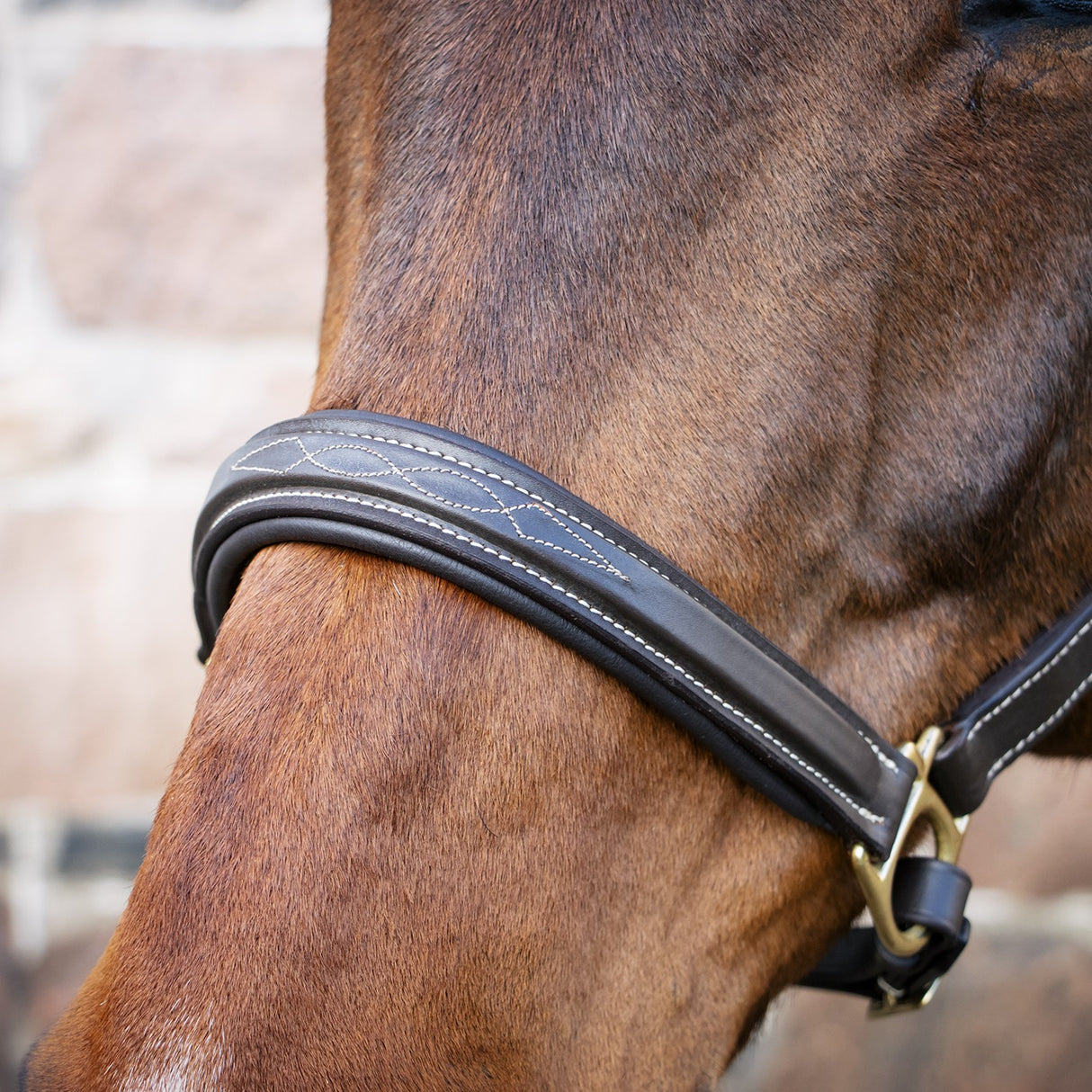 Licol rembourré avec surpiqûres fantaisie Val du Bois