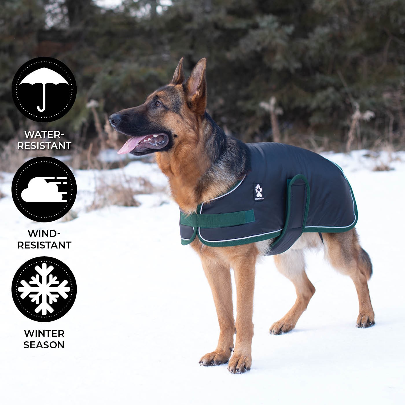 Manteau pour chien Shedrow K9 Vail