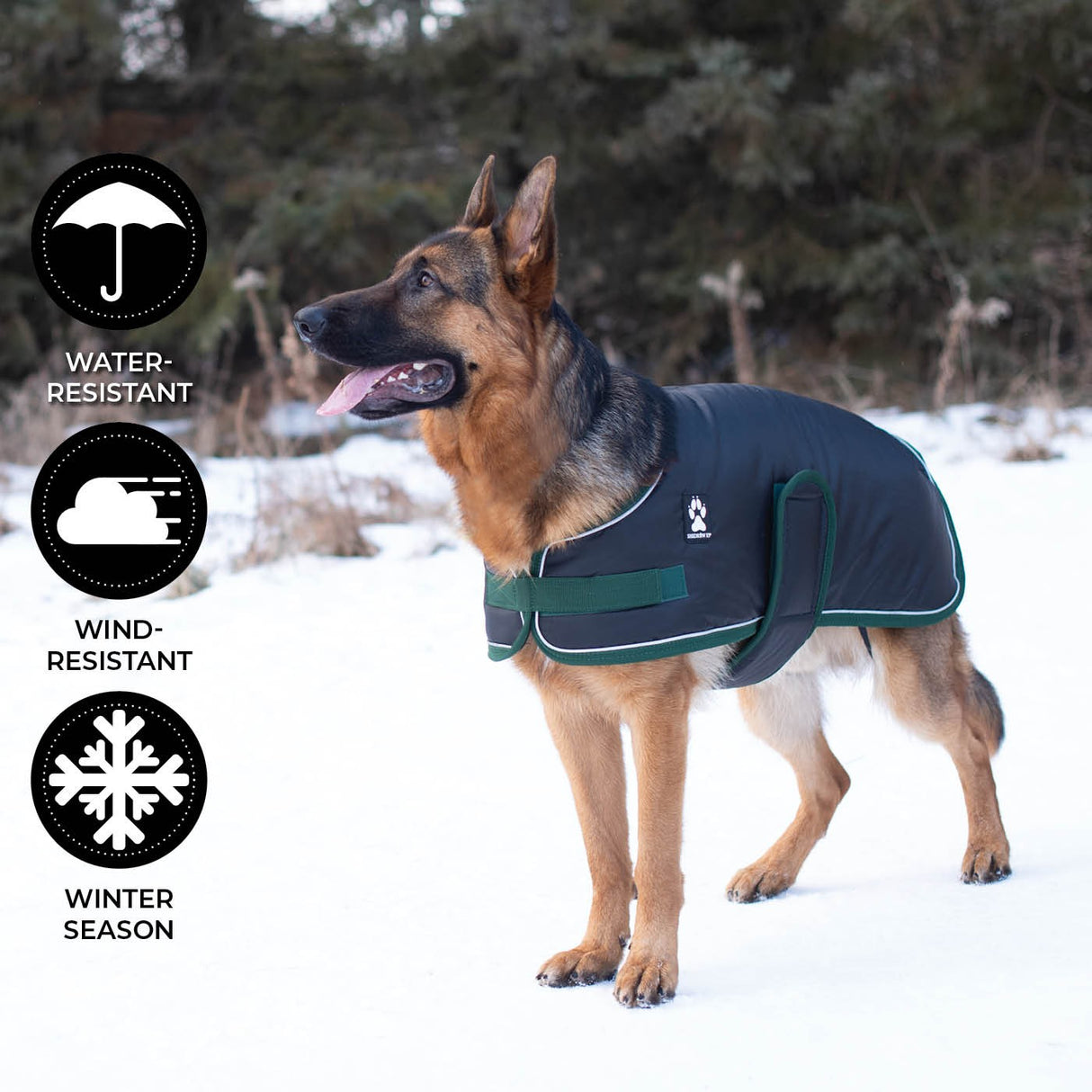Shedrow K9 Vail Dog Coat