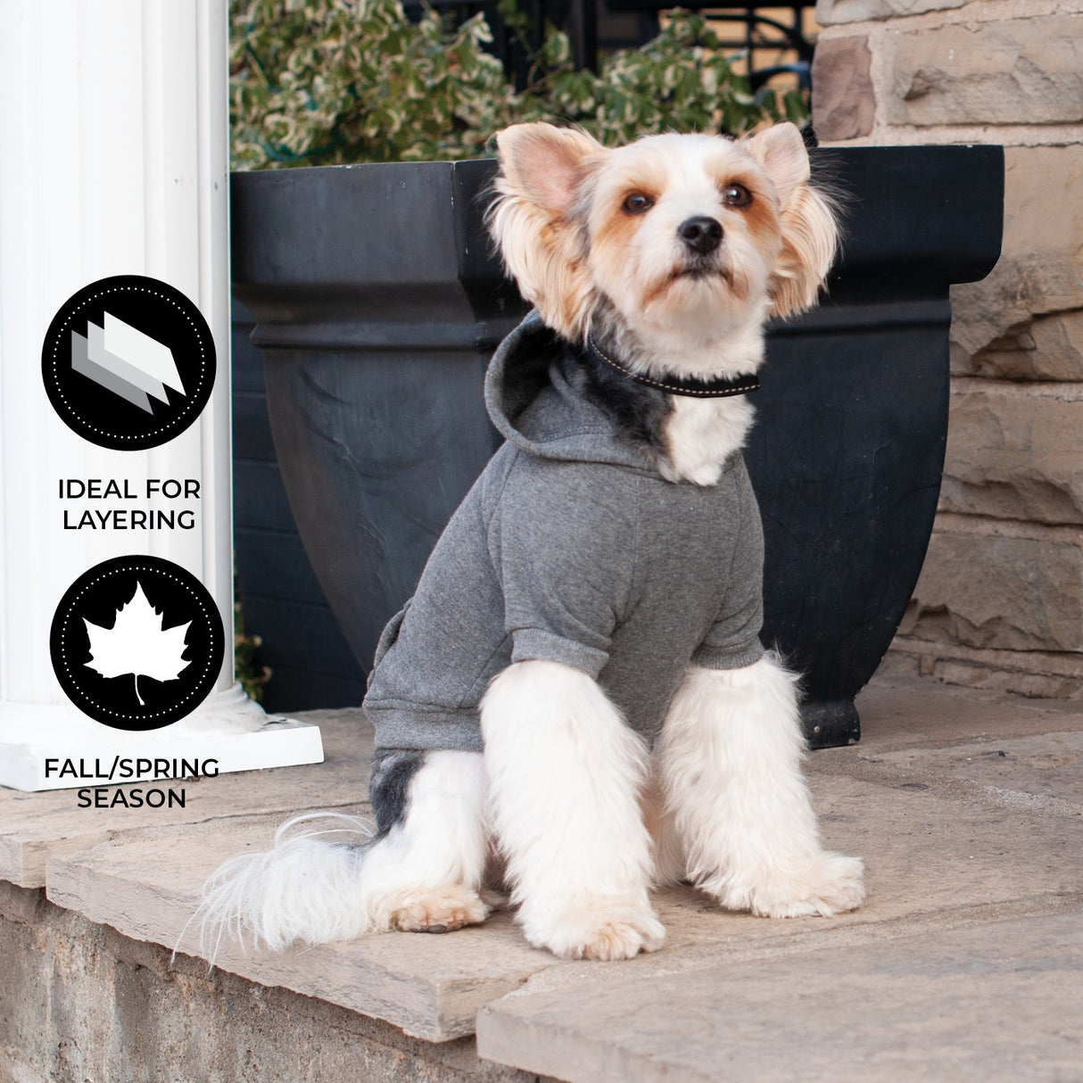 Shedrow K9 Brentwood Dog Hoodie