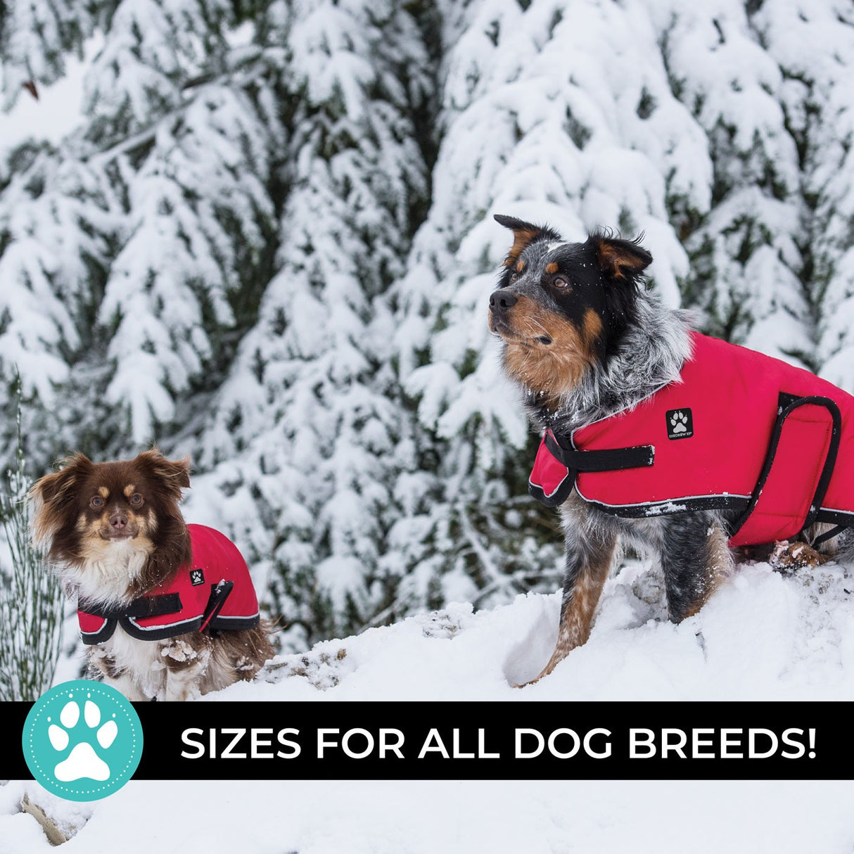 Manteau pour chien Shedrow K9 Tundra