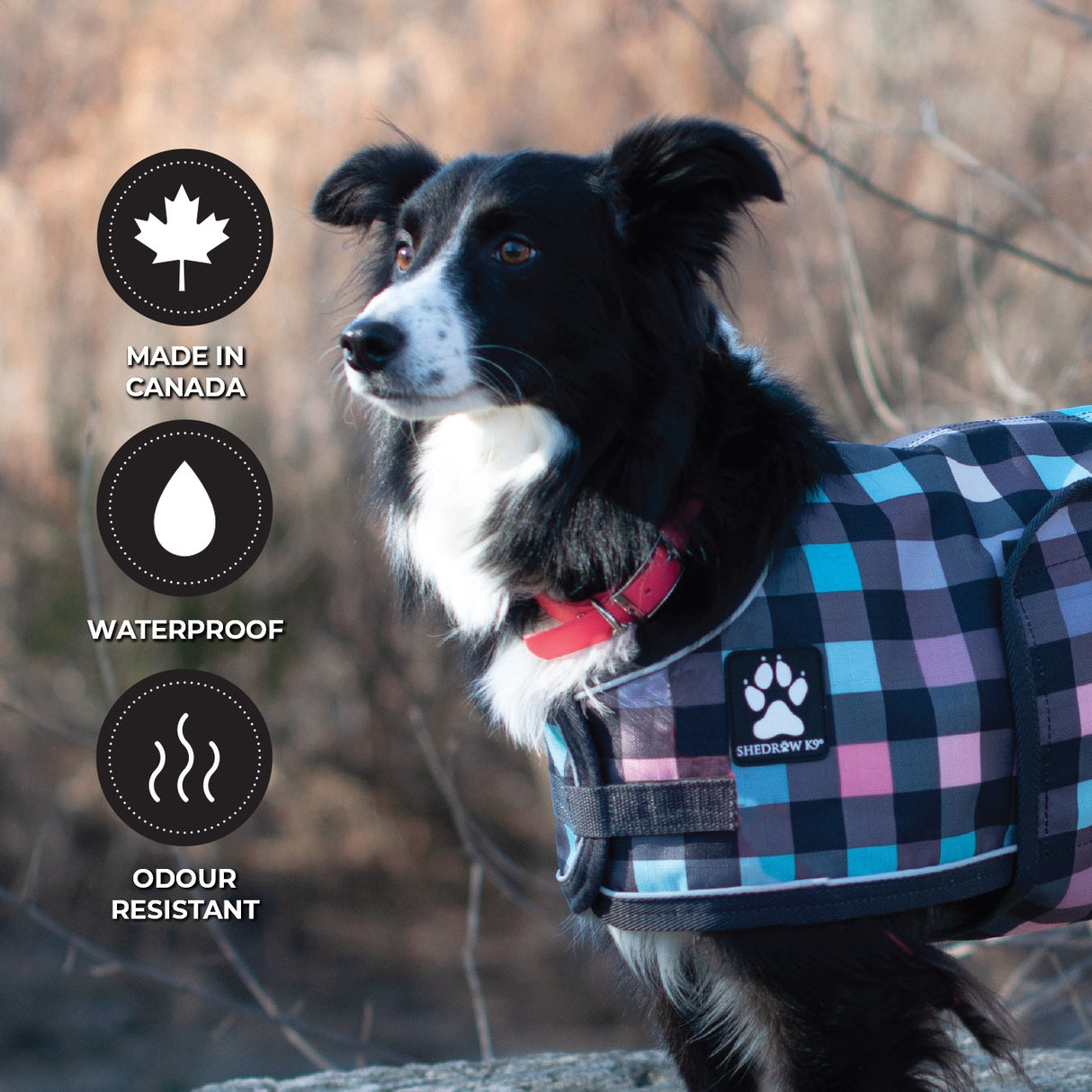 Shedrow K9 Tofino II Waterproof Collar