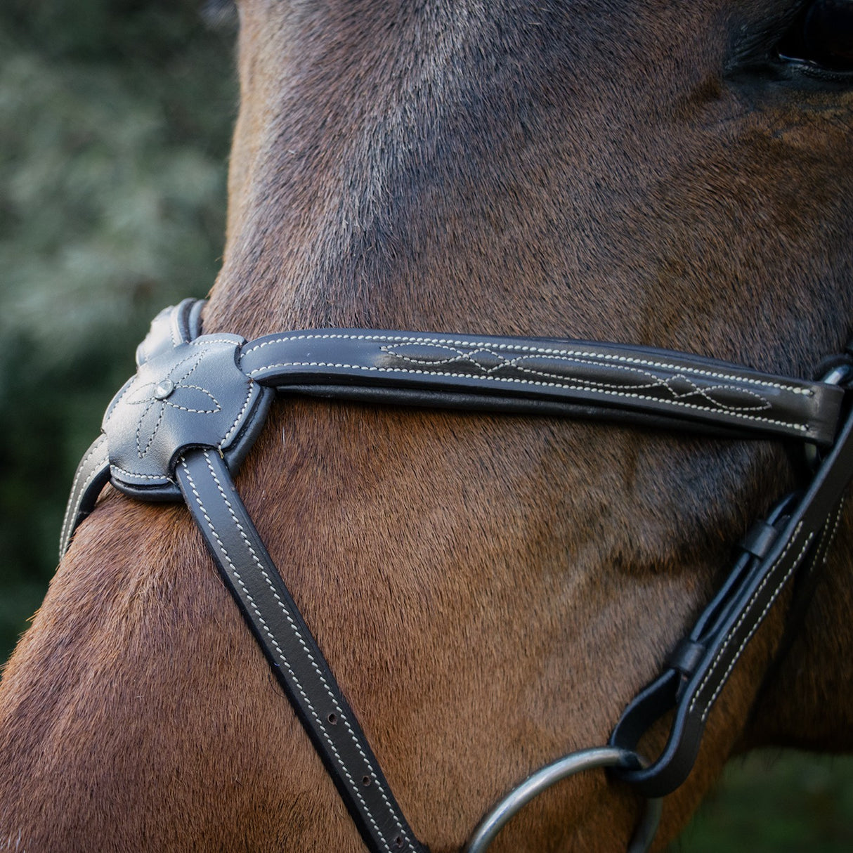 Val du Bois Padded Fancy Stitched Figure-8 Bridle