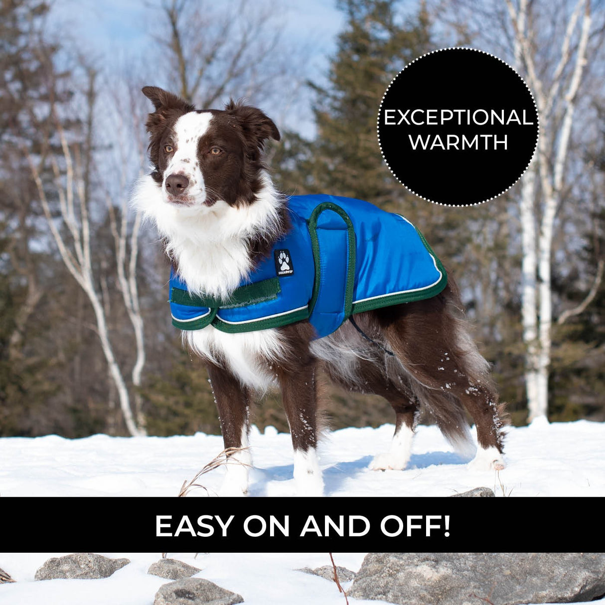 Shedrow K9 Vail Dog Coat
