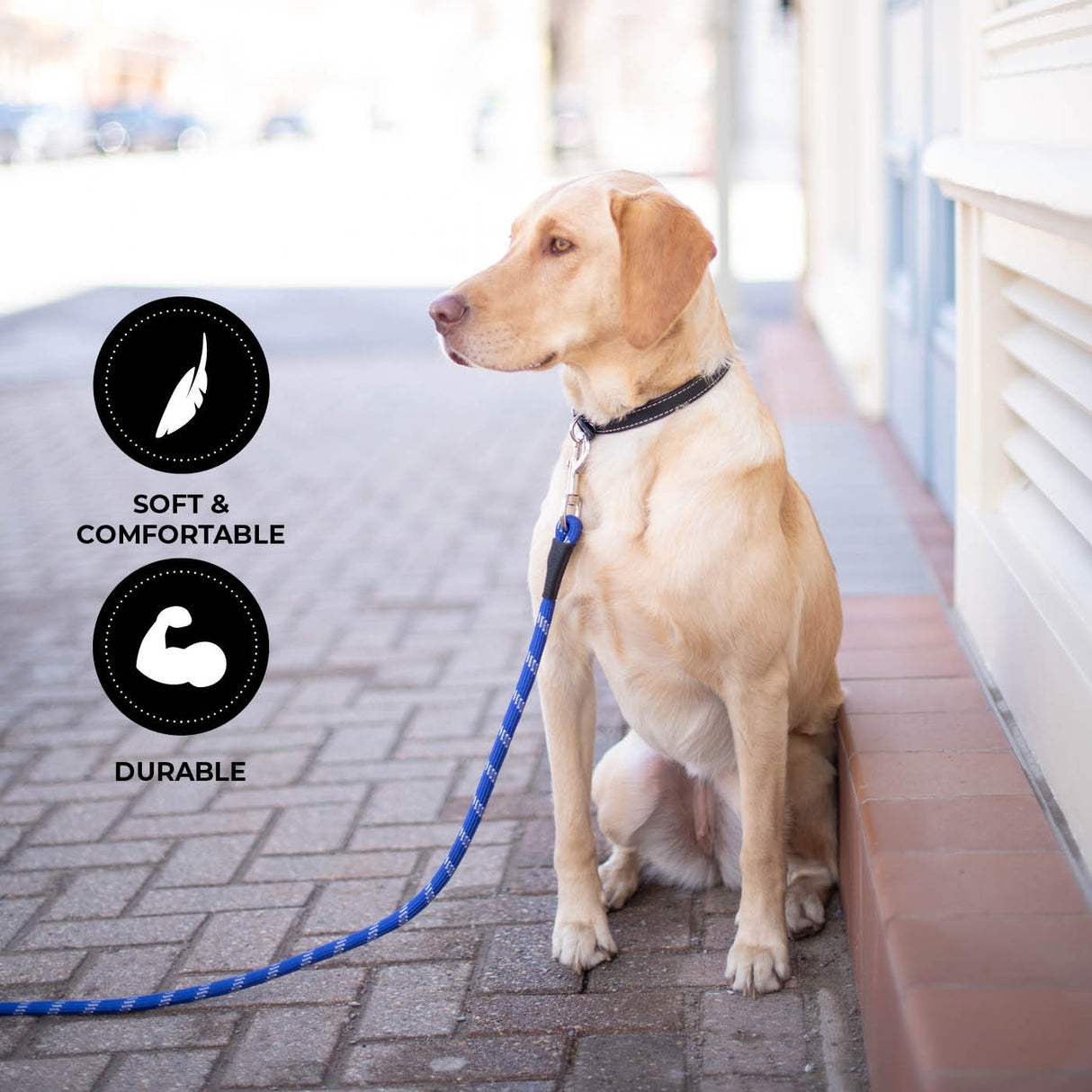 Shedrow K9 Camino Corde Laisse
