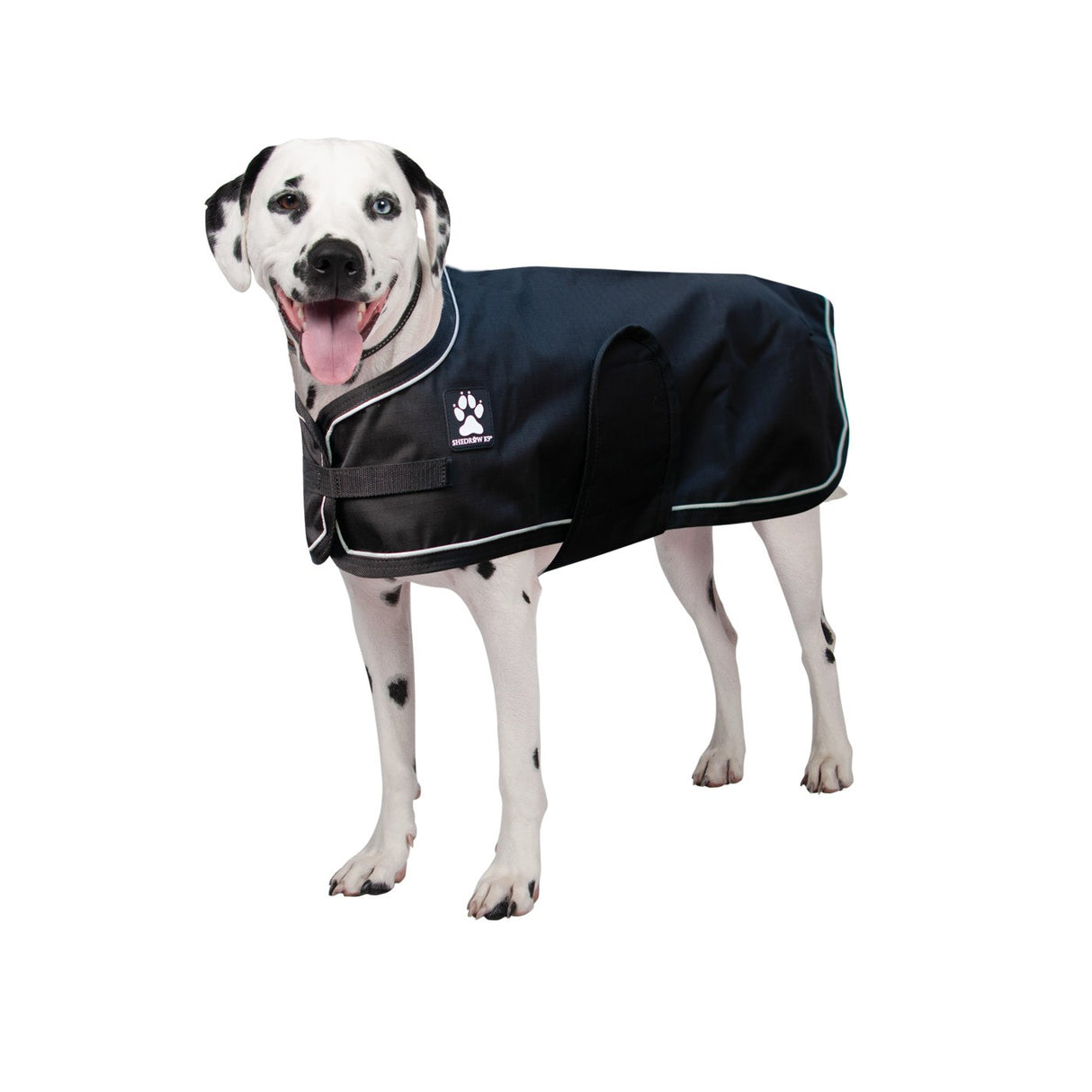 Shedrow K9 Harbour Rain Coat