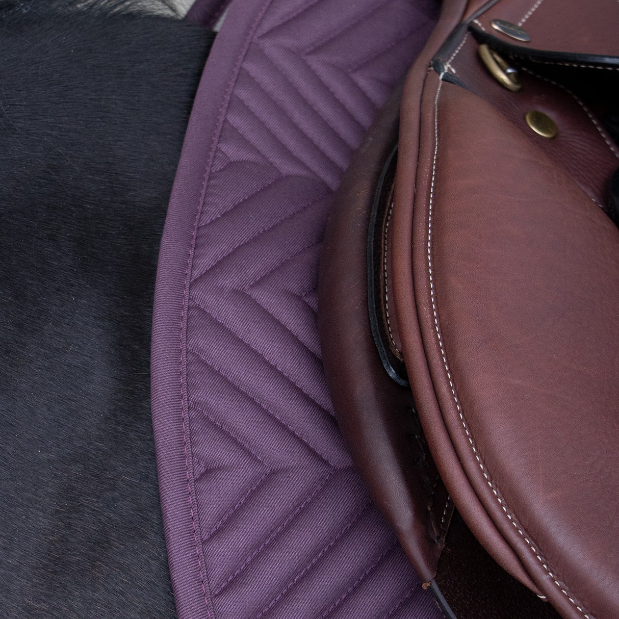 Everyday Essential Saddle Pad
