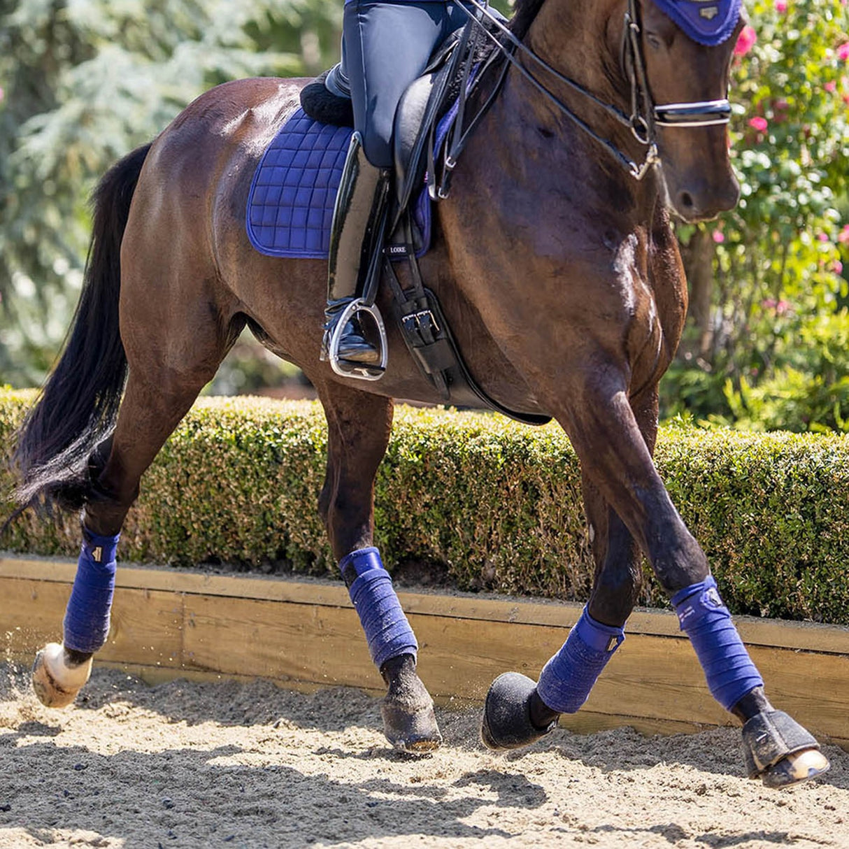 Polo Wraps LeMieux Loire