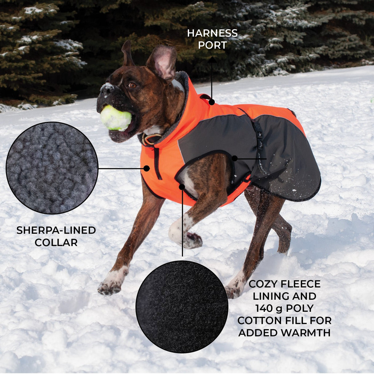 Shedrow K9 Chinook Dog Coat