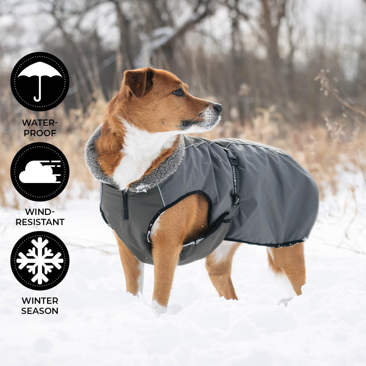 Shedrow K9 Chinook Dog Coat