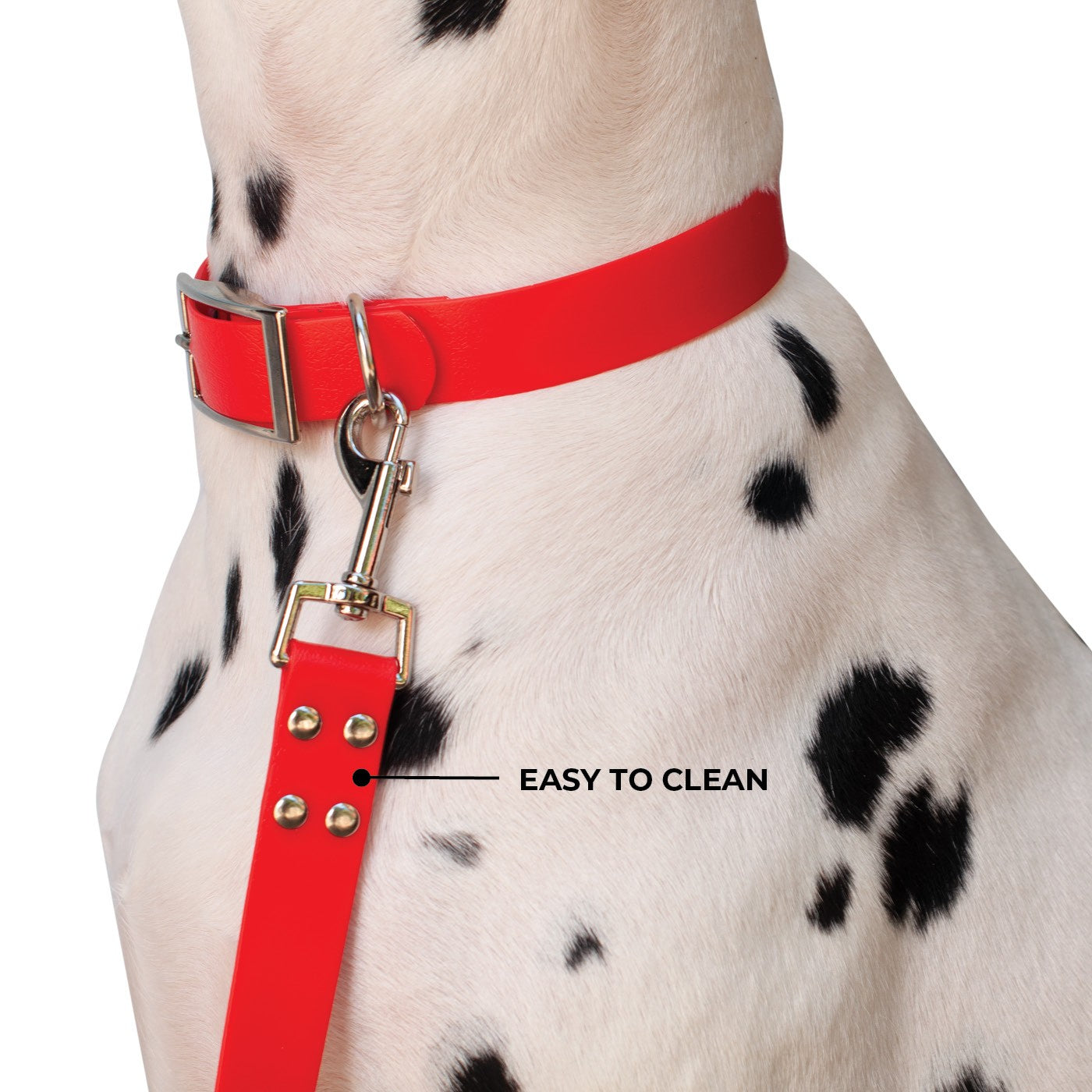 Shedrow K9 Tofino II Waterproof Leash 1.5 m