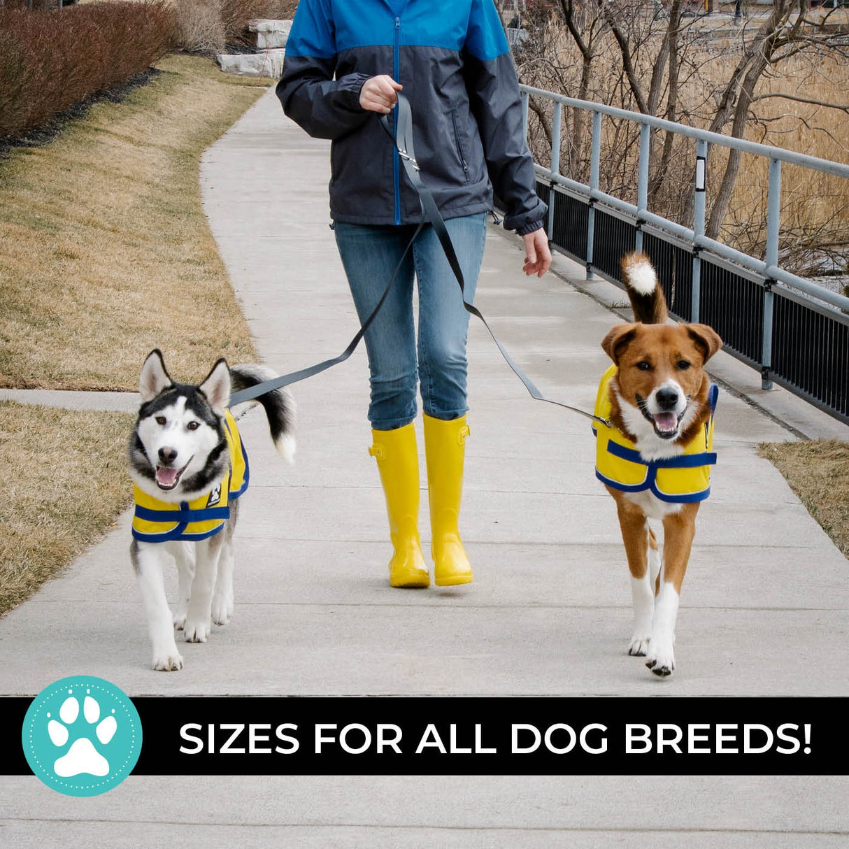 Shedrow K9 Harbour Rain Coat