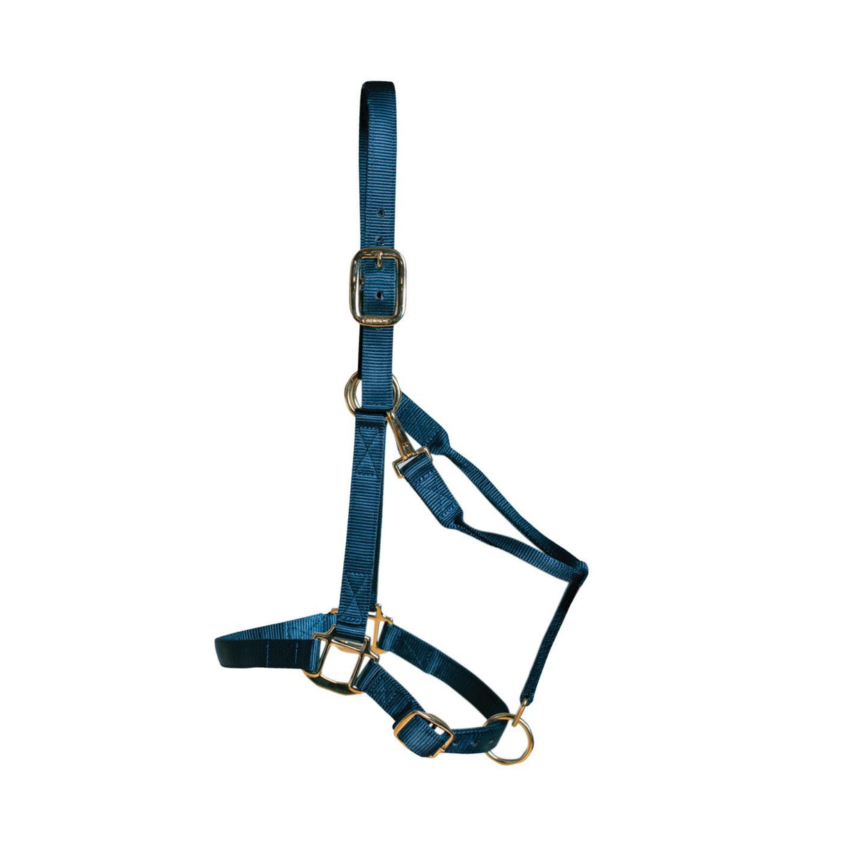 Licol de luxe Shedrow