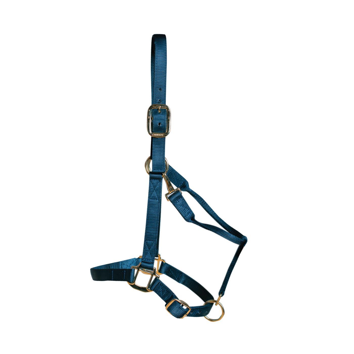 Licol de luxe Shedrow