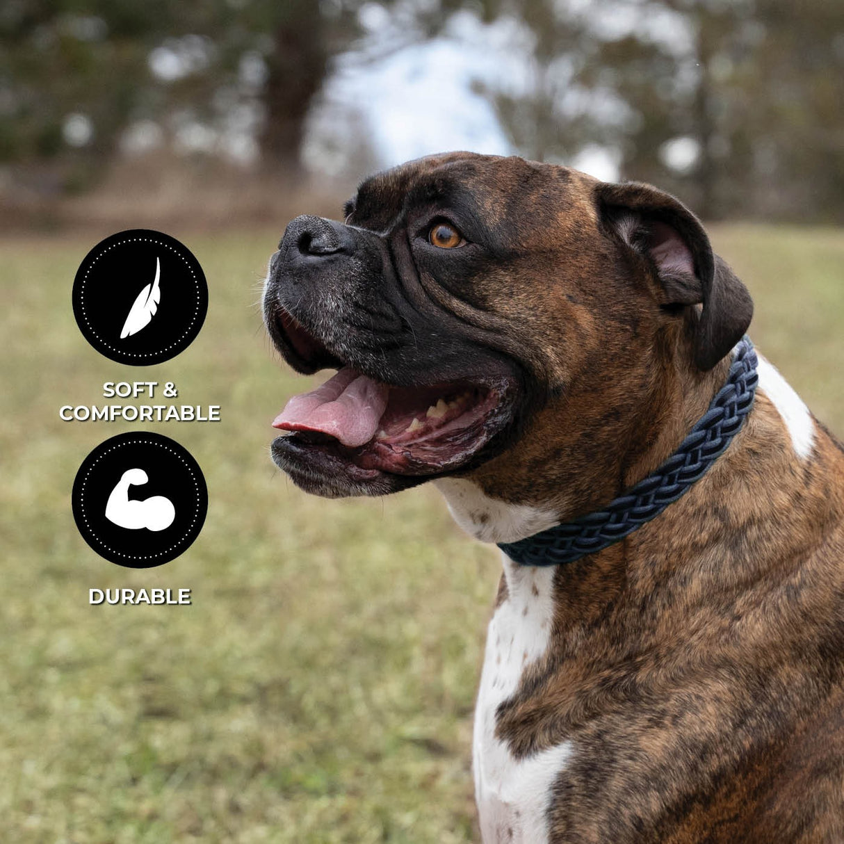 Shedrow K9 Rideau en corde tressée et collier en cuir