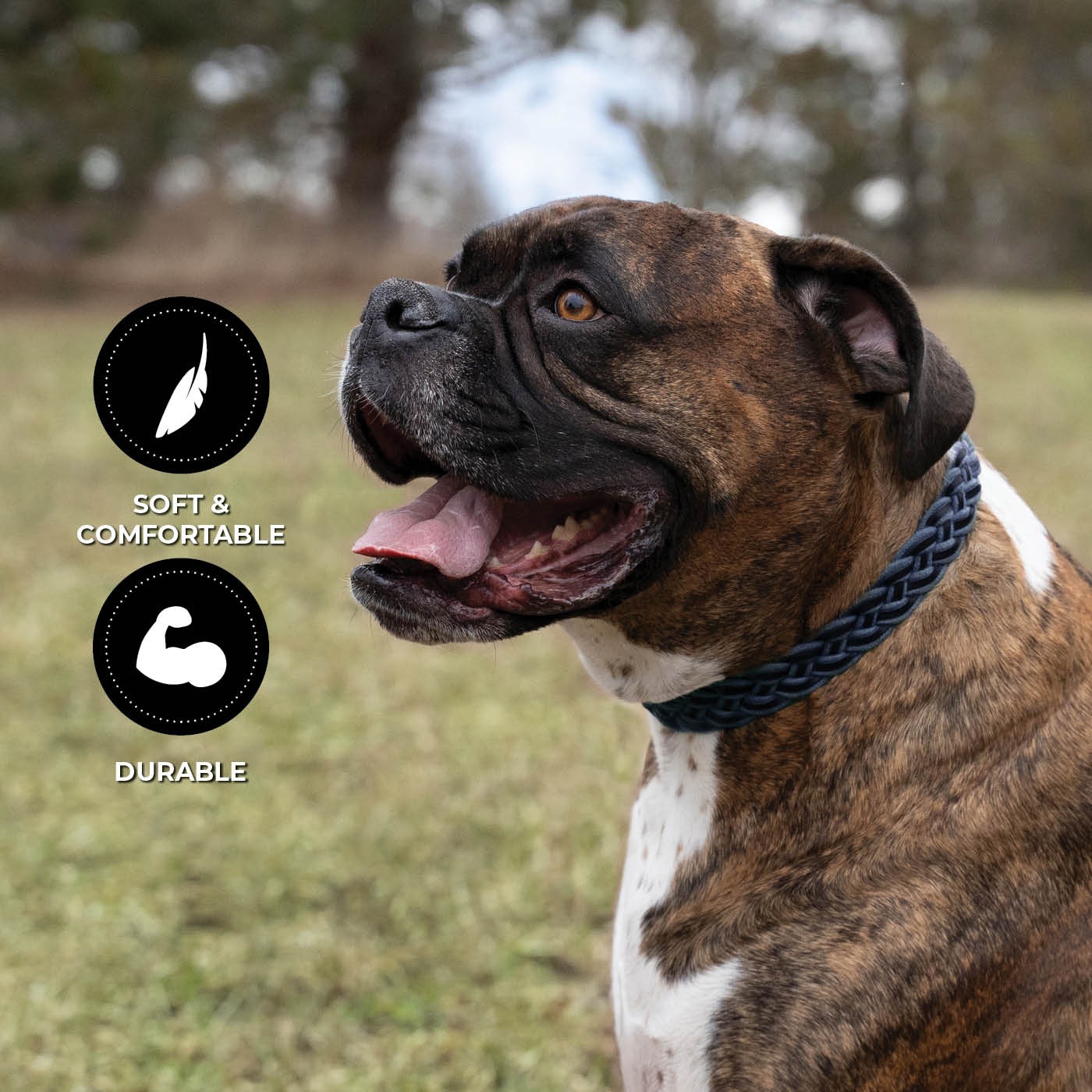 Shedrow K9 Rideau en corde tressée et collier en cuir