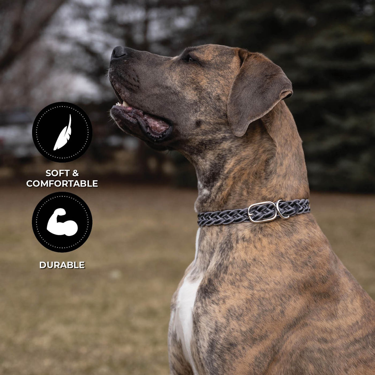 Shedrow K9 Rideau en corde tressée et collier en cuir