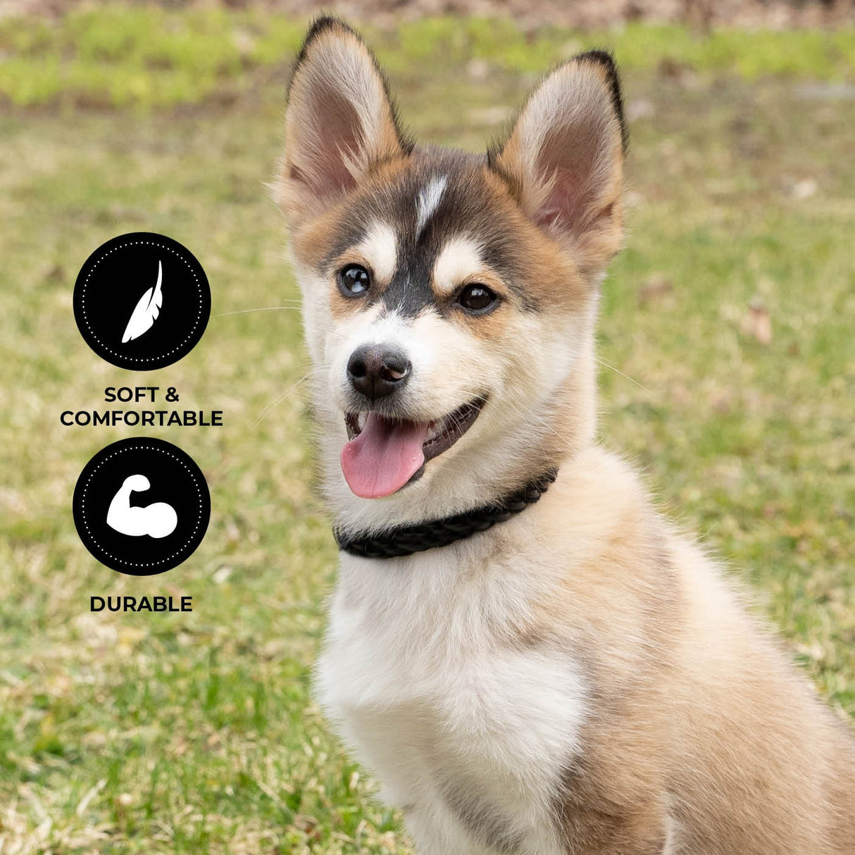 Shedrow K9 Rideau en corde tressée et collier en cuir
