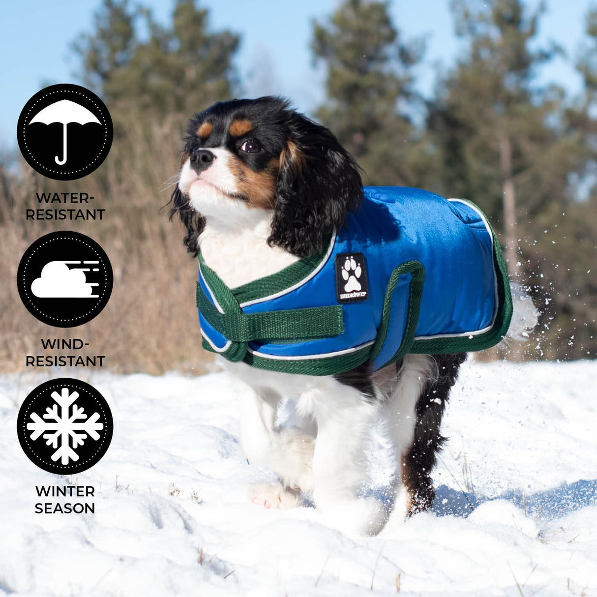 Shedrow K9 Vail Dog Coat