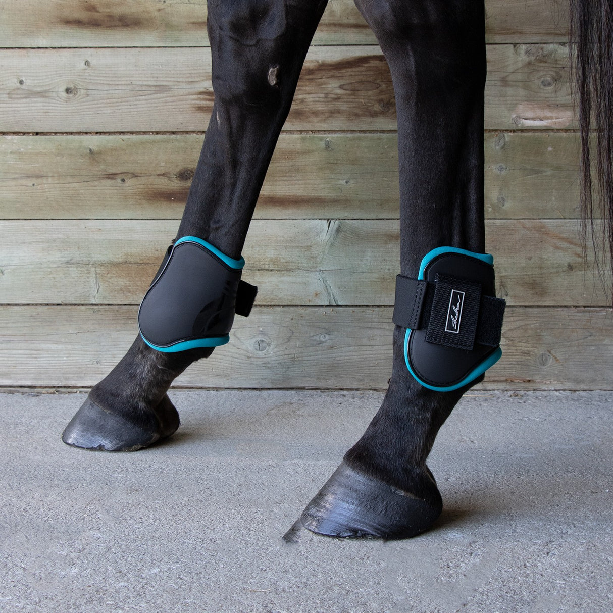 Shedrow Fetlock Boots W/ Coloured Lining