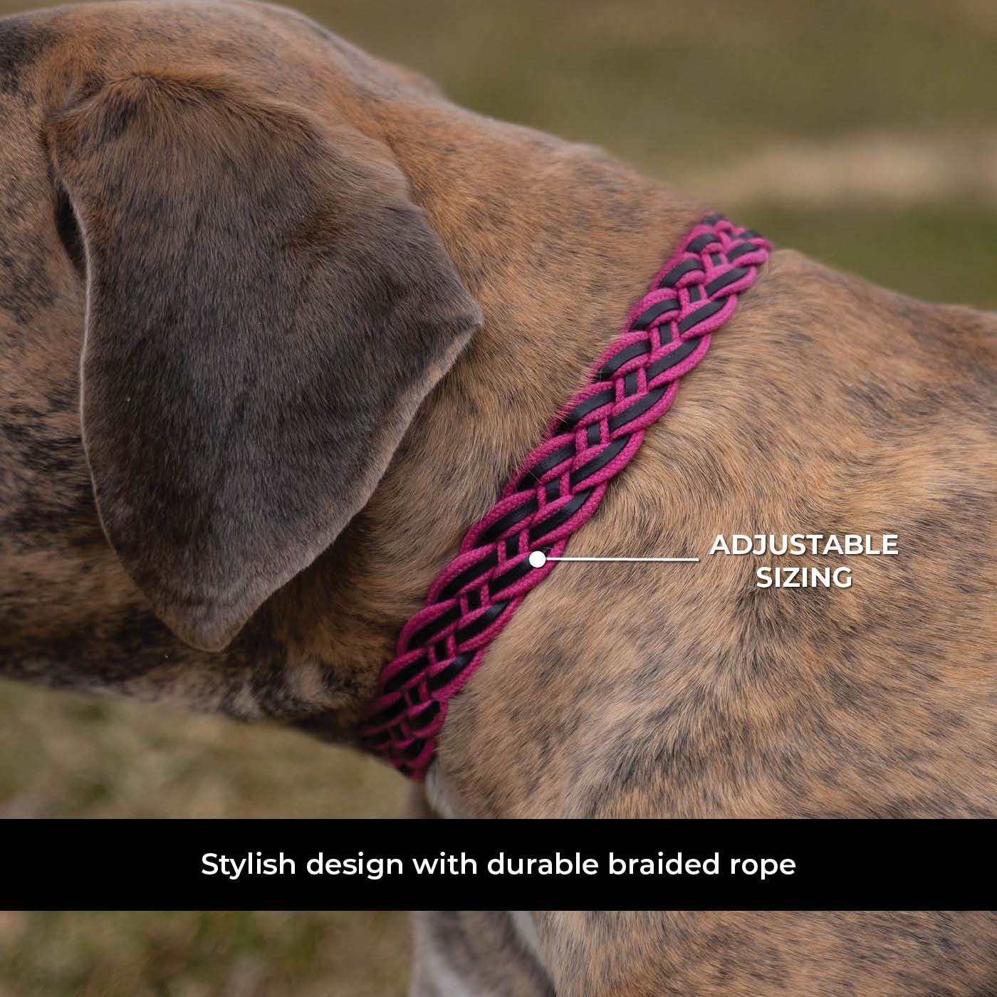 Shedrow K9 Rideau en corde tressée et collier en cuir