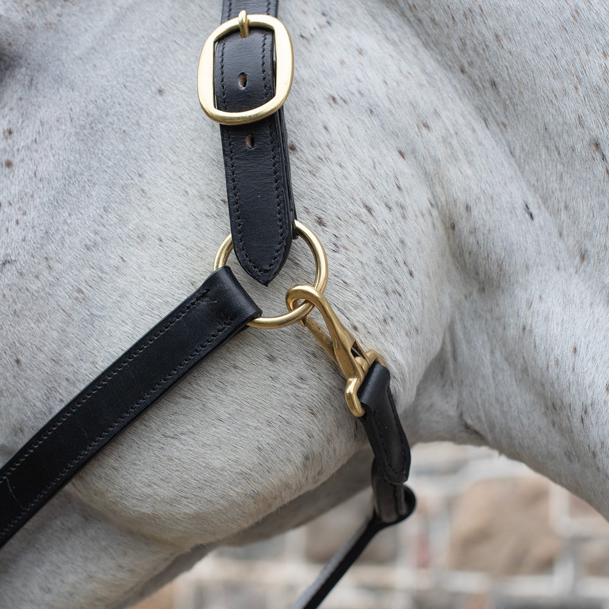 Val du Bois Padded Leather Halter