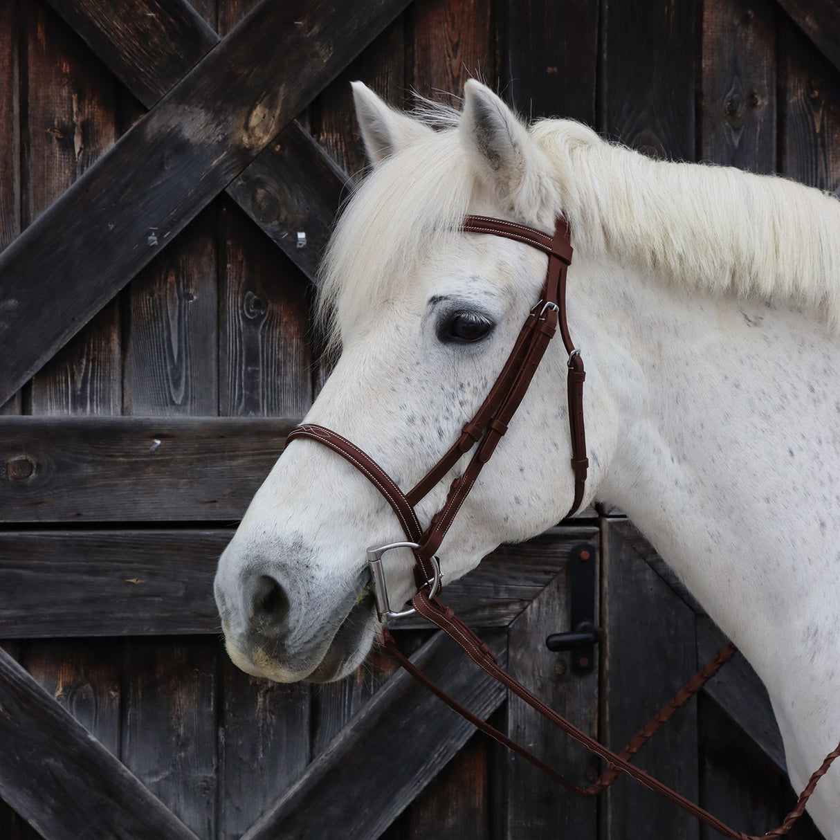 Val du Bois Raised Fancy Stitched Bridle