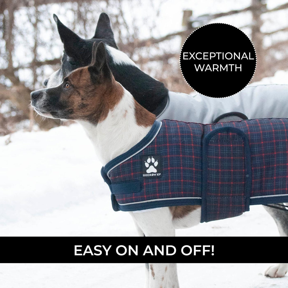 Manteau pour chien Shedrow K9 Glacier