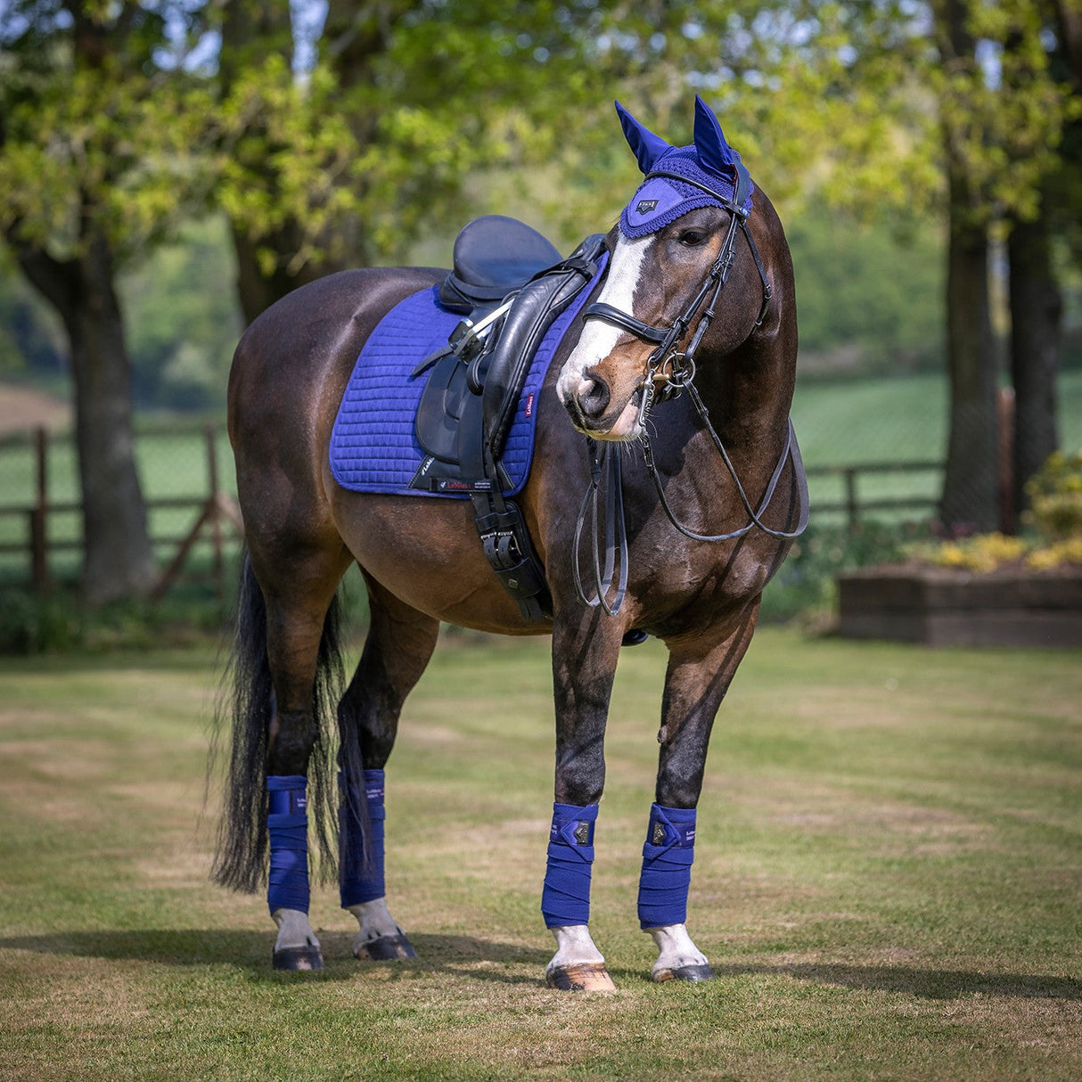 LeMieux Suede Dressage Square Saddle Pad