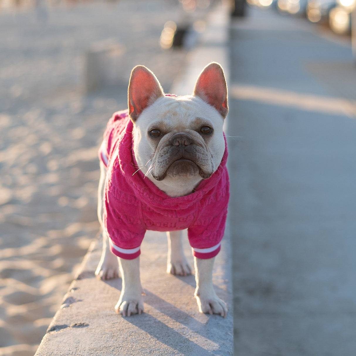 Canada Pooch Beach Bum Towel Hoodie