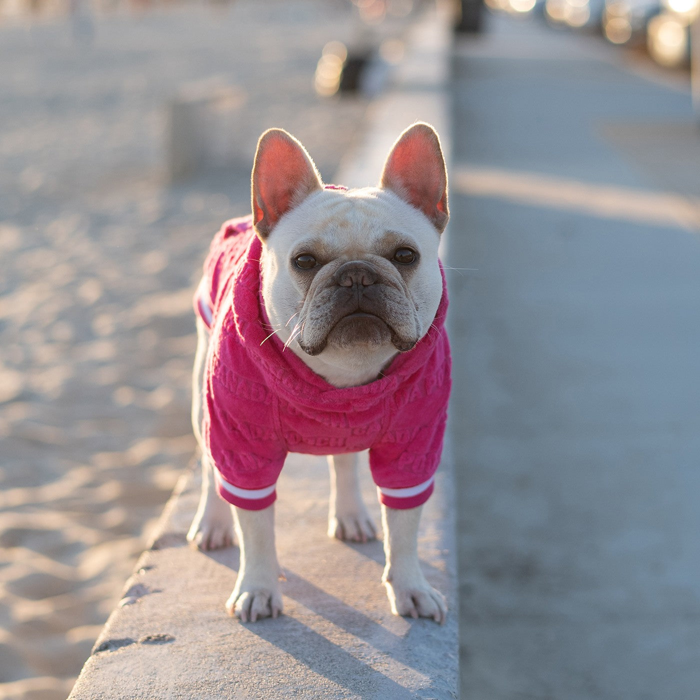 Canada Pooch Beach Bum Towel Hoodie