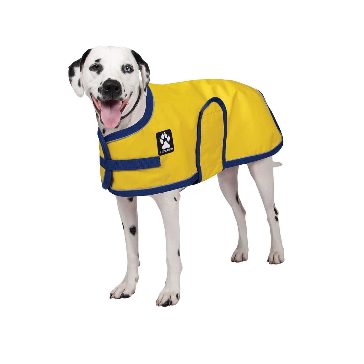 Shedrow K9 Harbour Rain Coat