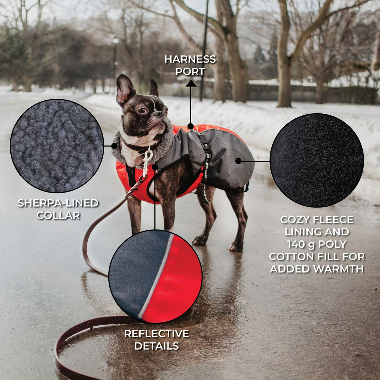 Manteau Shedrow K9 Chinook pour chien