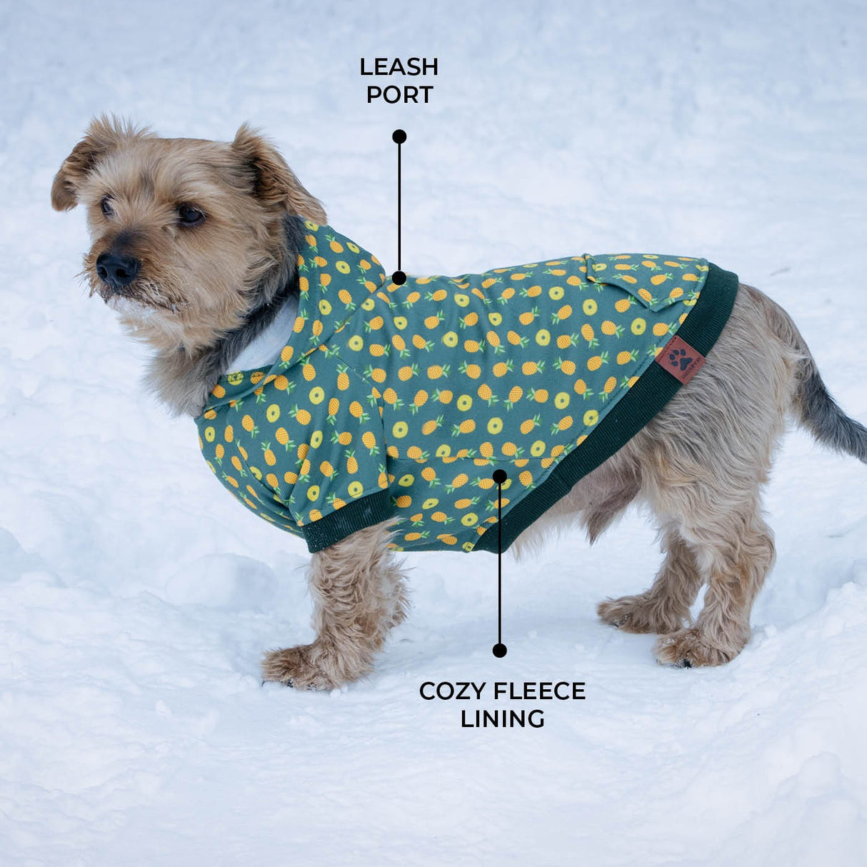 Shedrow K9 Canmore Dog Hoodie