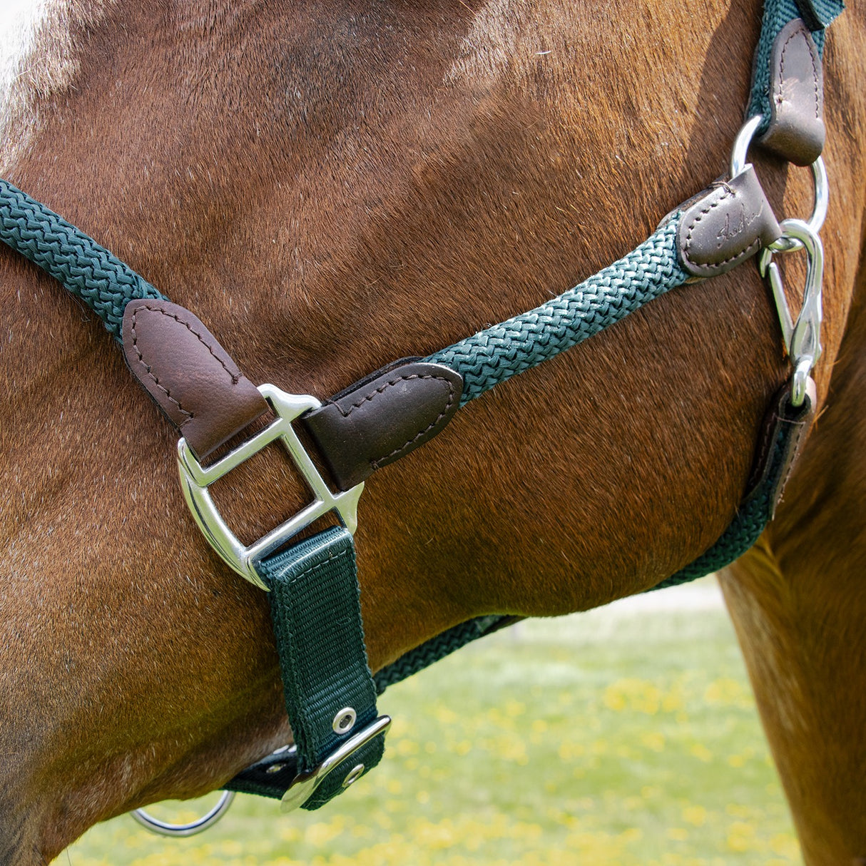 Shedrow Nylon & Leather Halter