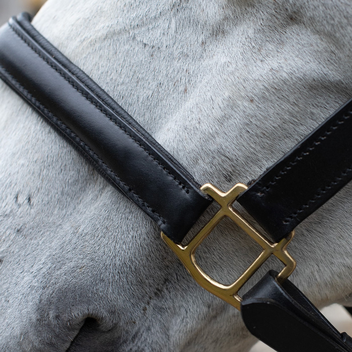 Val du Bois Padded Leather Halter