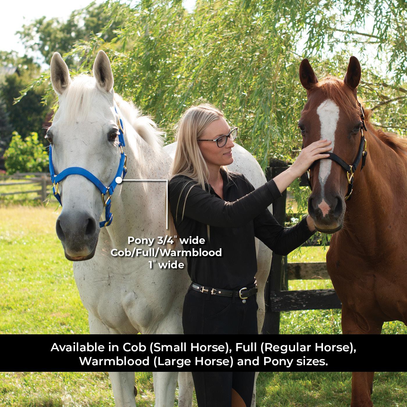 Licol de luxe Shedrow