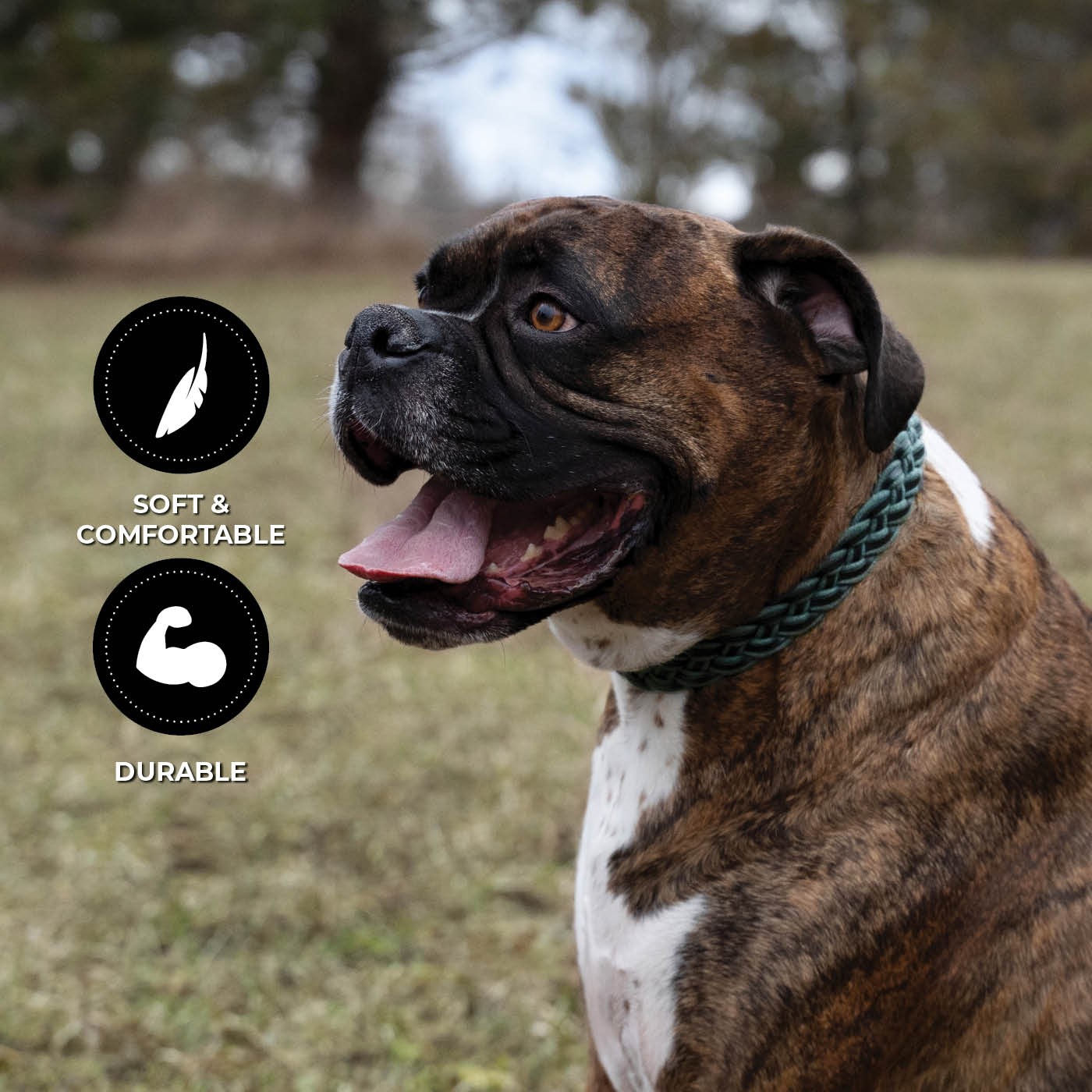 Shedrow K9 Rideau en corde tressée et collier en cuir