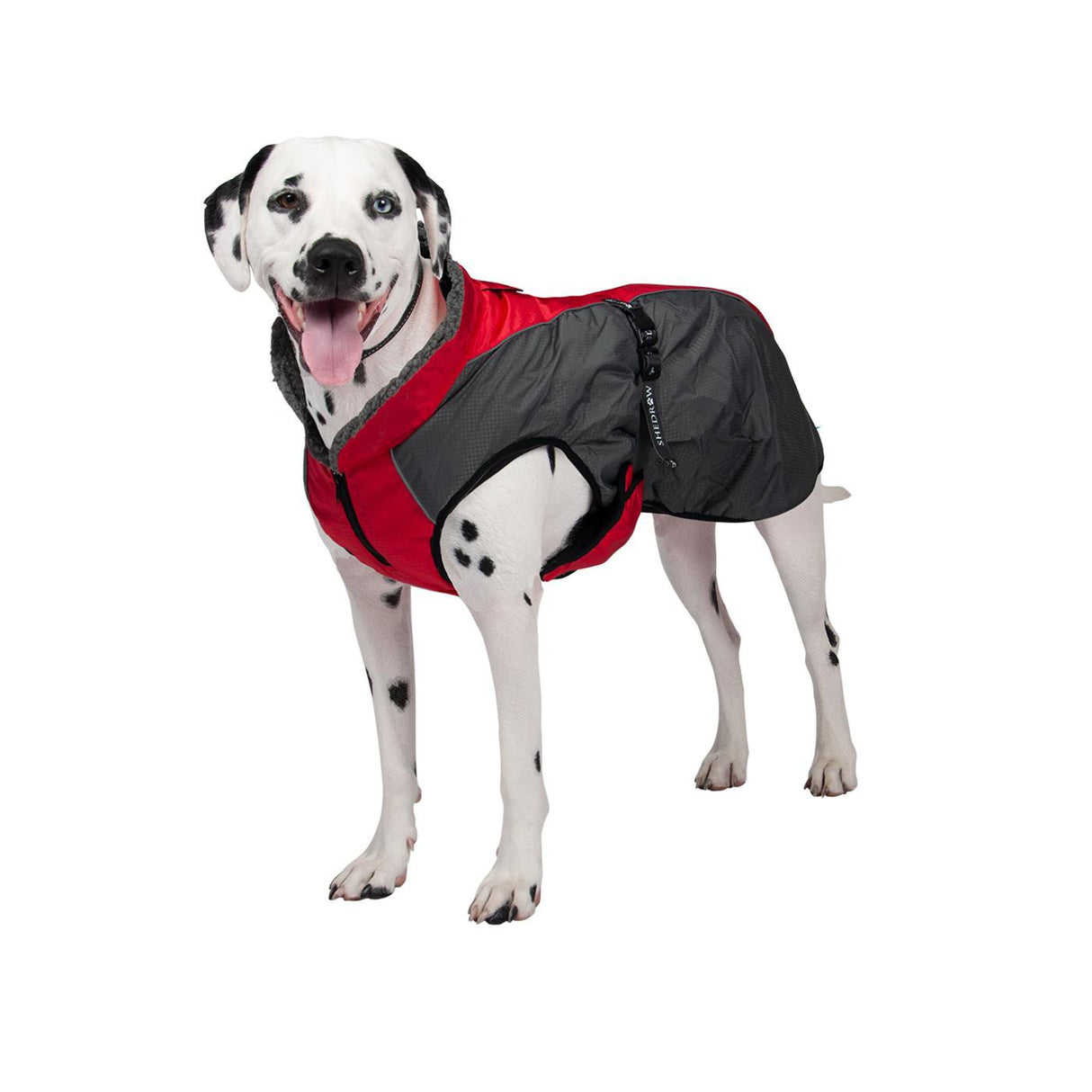 Manteau Shedrow K9 Chinook pour chien