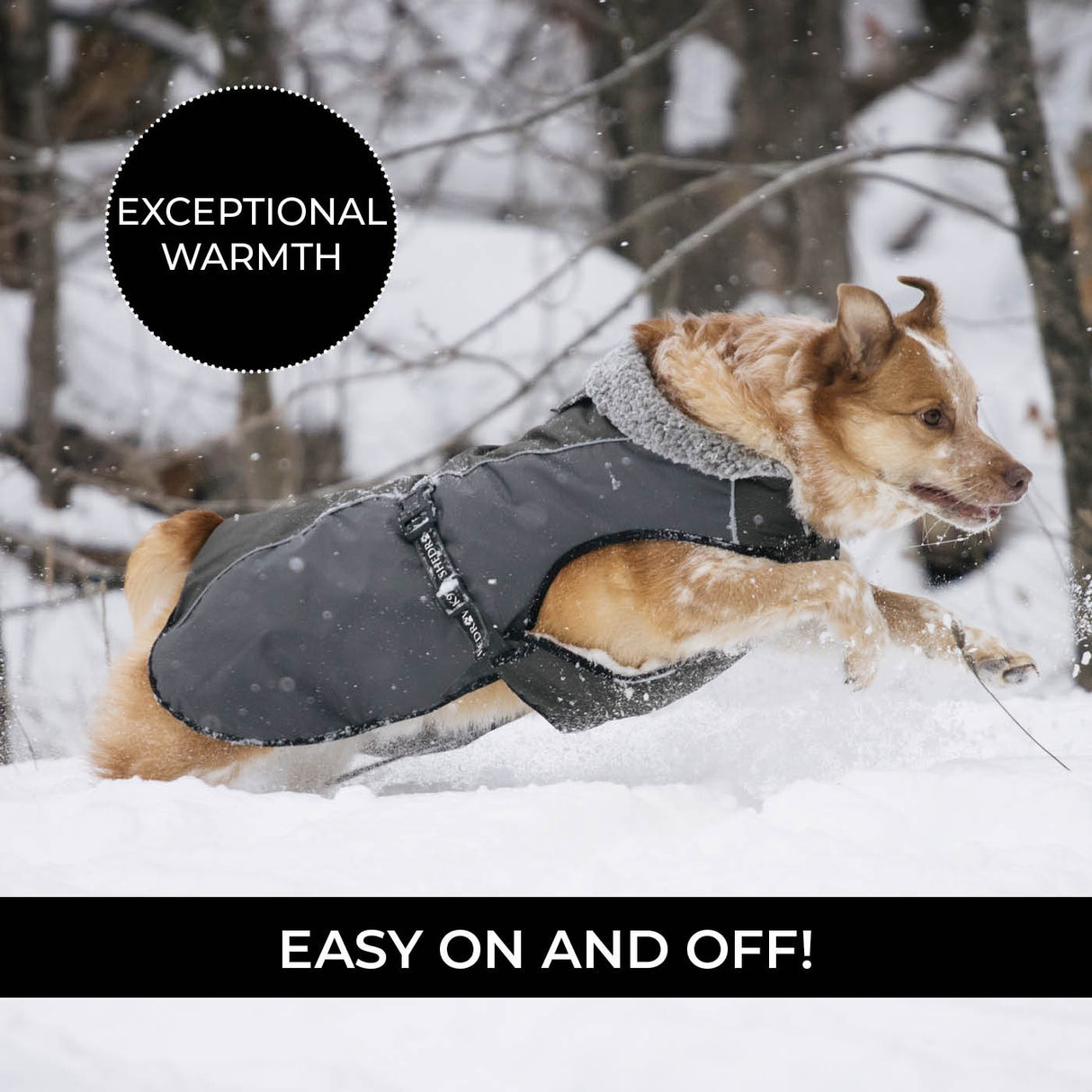 Shedrow K9 Chinook Dog Coat