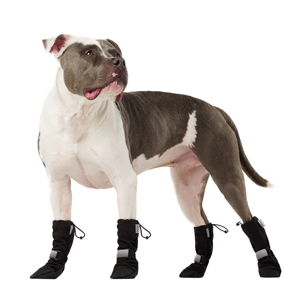 Canada Pooch Soft Shield Boots